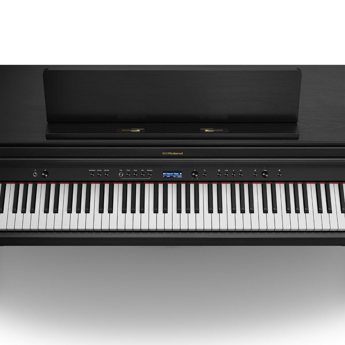HP704 Nero carbone