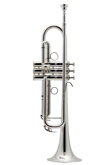 New Standard Sib Argentata - BE111-2-0