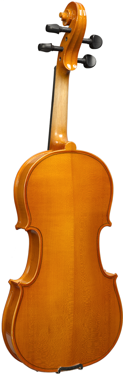 1/16 VIOLON TOUT MASSIF AS1116