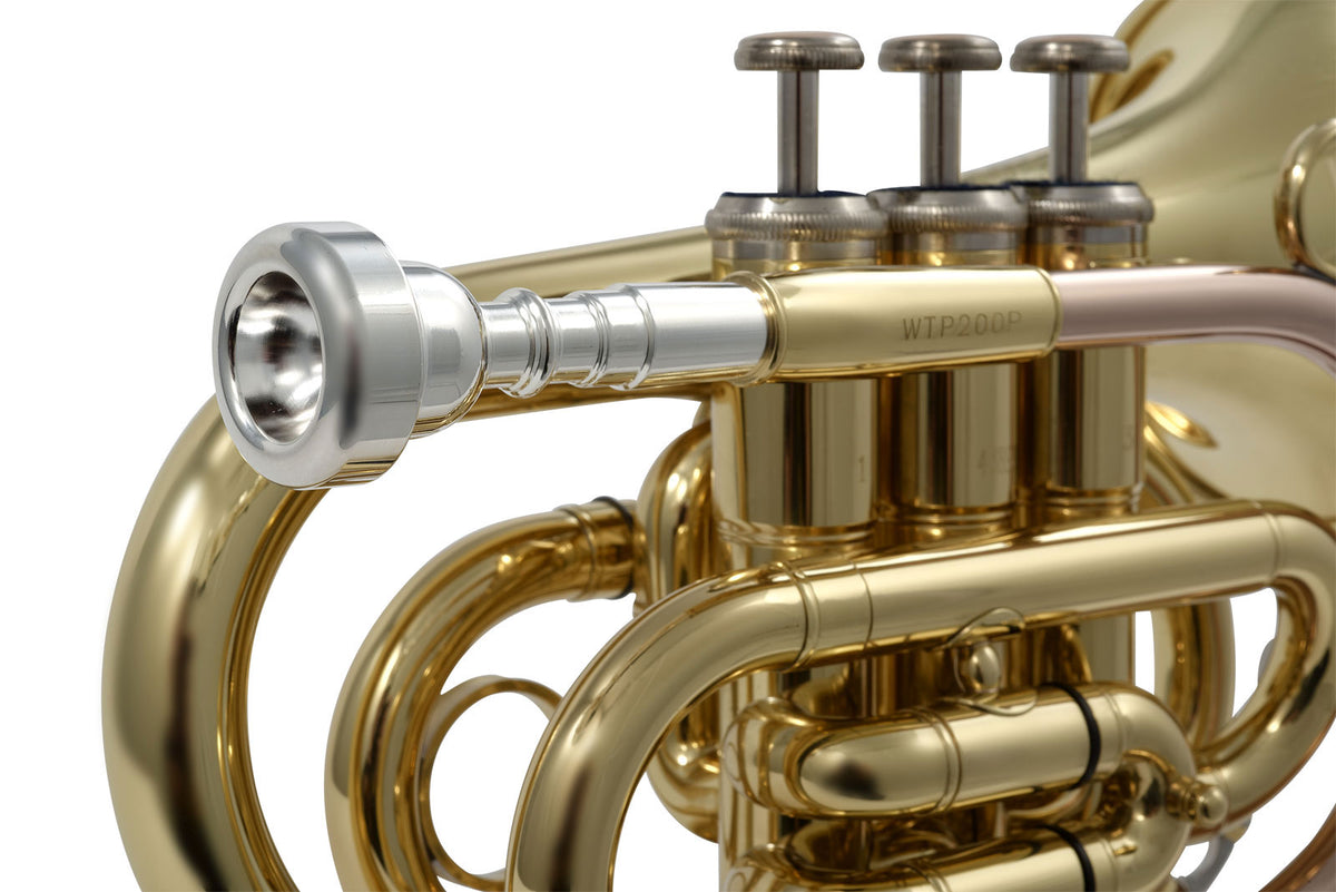 WTP200P - Sib verniciato