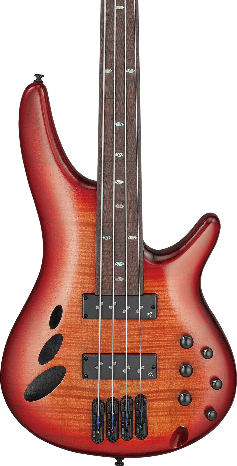 SRD900F-BTL Burst marrone topazio Bass Workshop