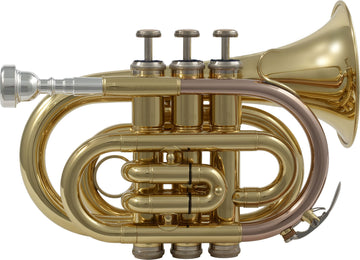 WTP200P - Sib verniciato
