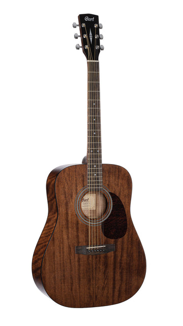 Chitarra Earth60M Naturale