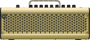 THR30II Senza fili 30W