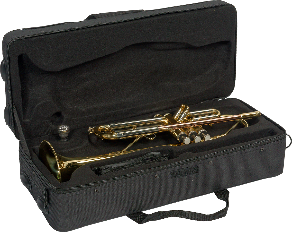TP300 BB TROMBA OTTONE LACCATO - TUBO IN OTTONE ROSA