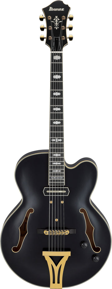 PM3C Signature Pat Metheny Nero Poco Lucido