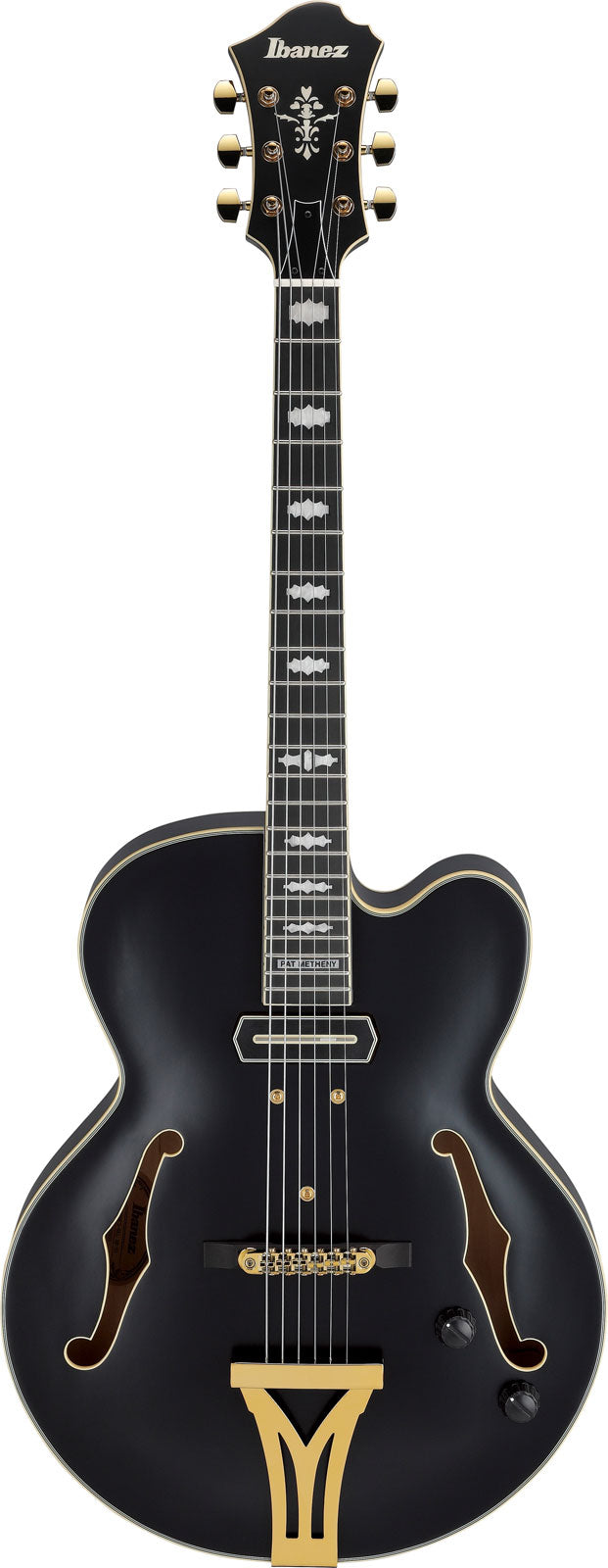 PM3C Signature Pat Metheny Nero Poco Lucido