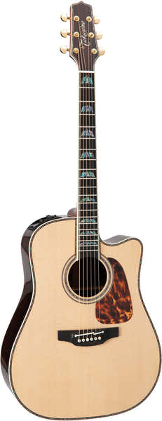 Dreadnought Cutaway Elettro P10DC