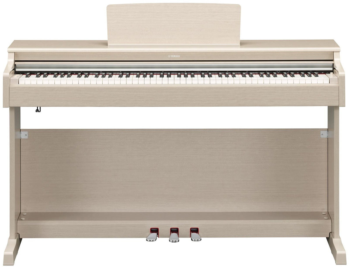 Arius YDP-165 Frassino chiaro