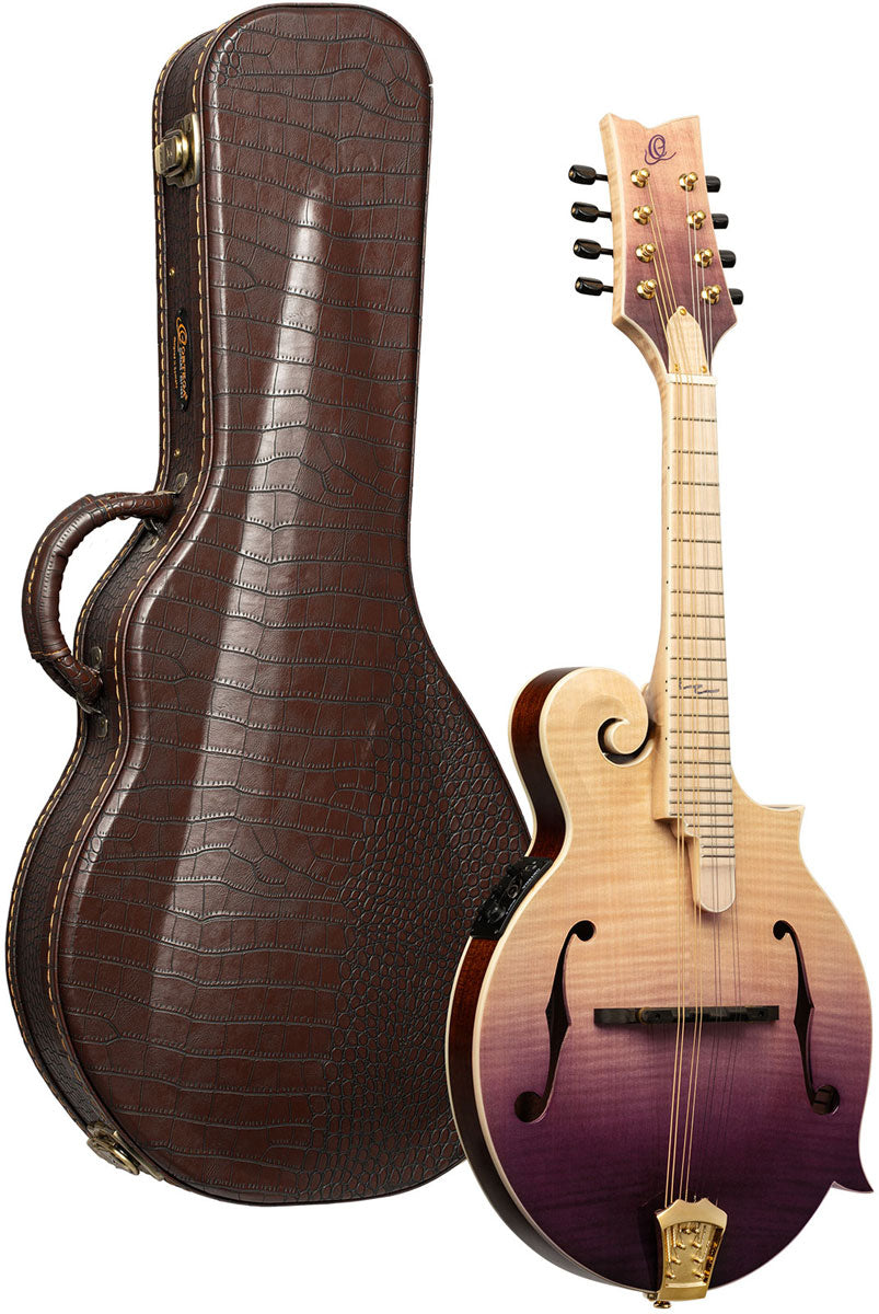 Americana Mandolino F-Style + Custodia in pelle Croco