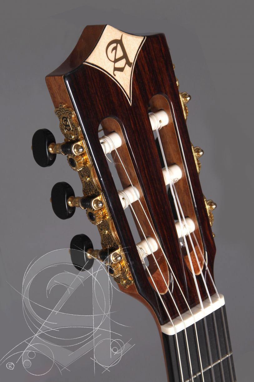 Concert CS-3 CW E8 Crossover + 9738 25MM Custodia - Ricondizionato