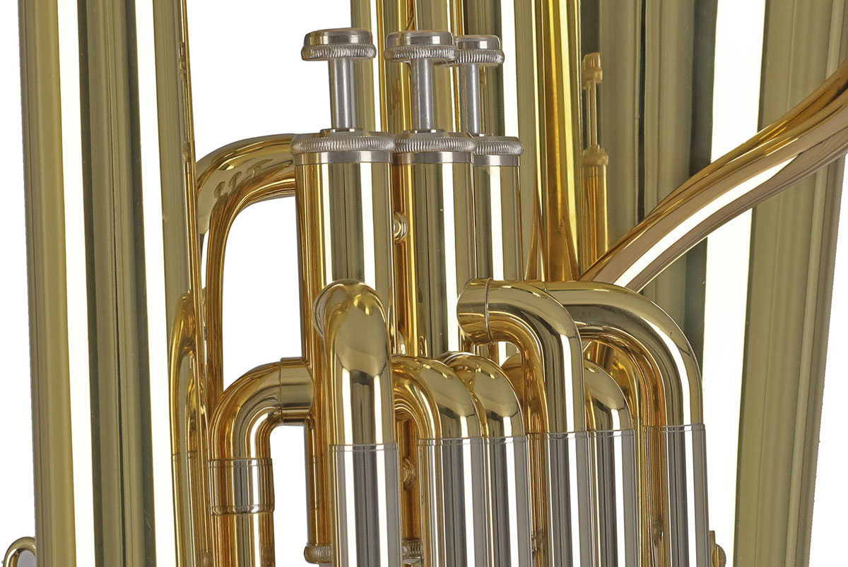 Ambition BB650 Contrabbasso Sib Verniciato