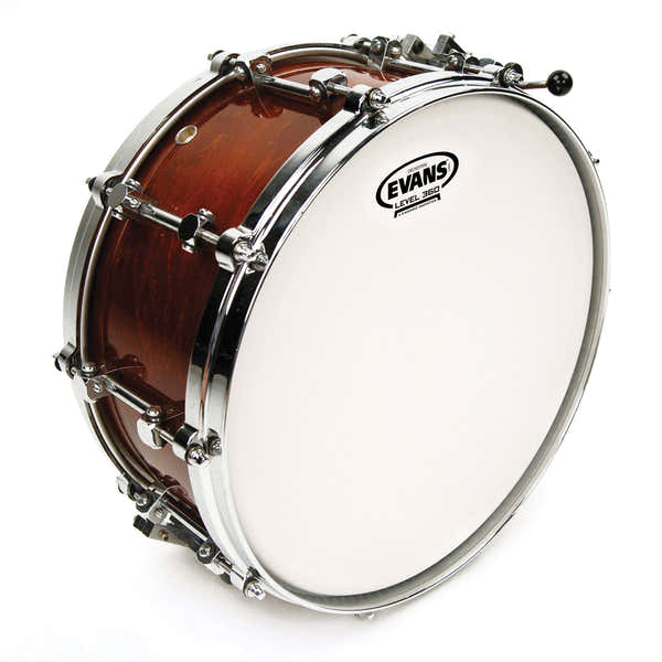 Evans B14GCS - Orchestral Pelle Rivestita 14