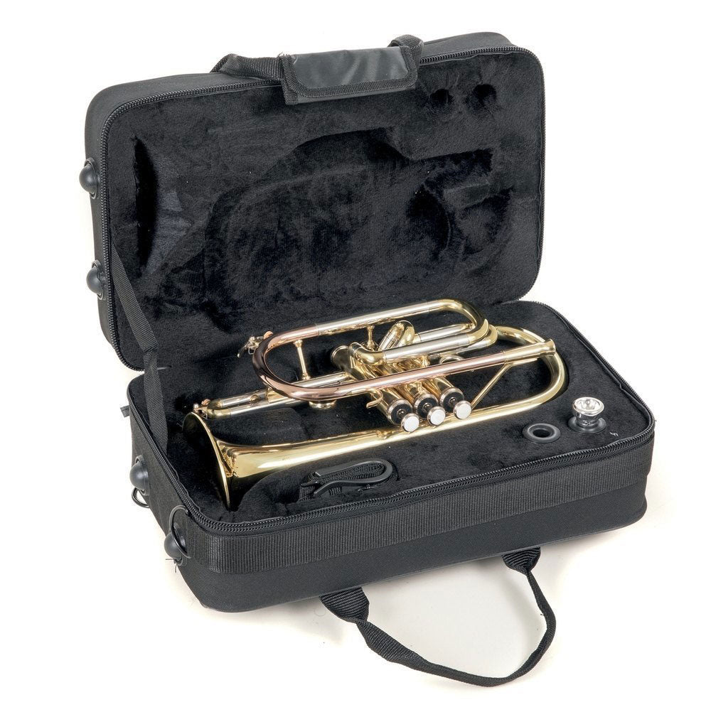 ROY BENSON CR-202 BB CORNET