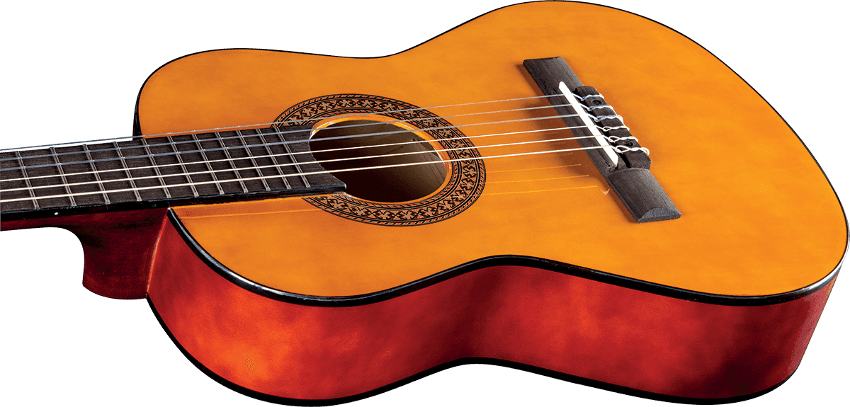 Cs-2 1/2 Natural + Gigbag