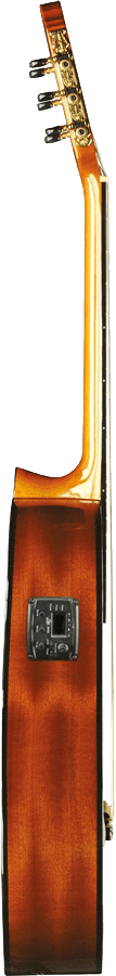 Vibra 150 4/4 CW Natural