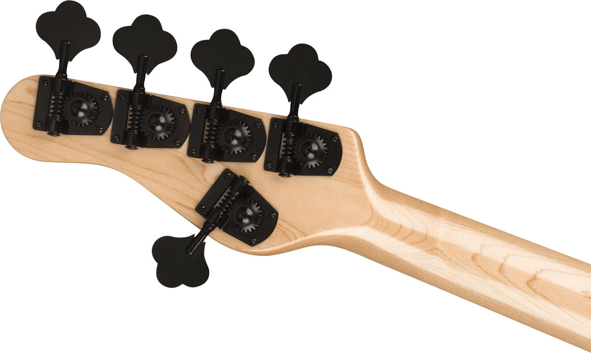 Pro Concert Bass Signature Gladys Adam Blackstone Mn - Ricondizionato