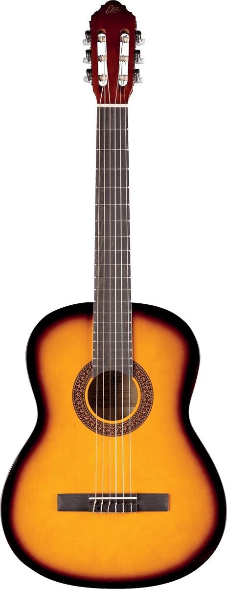 Cs-10 4/4 Sunburst + Gigbag