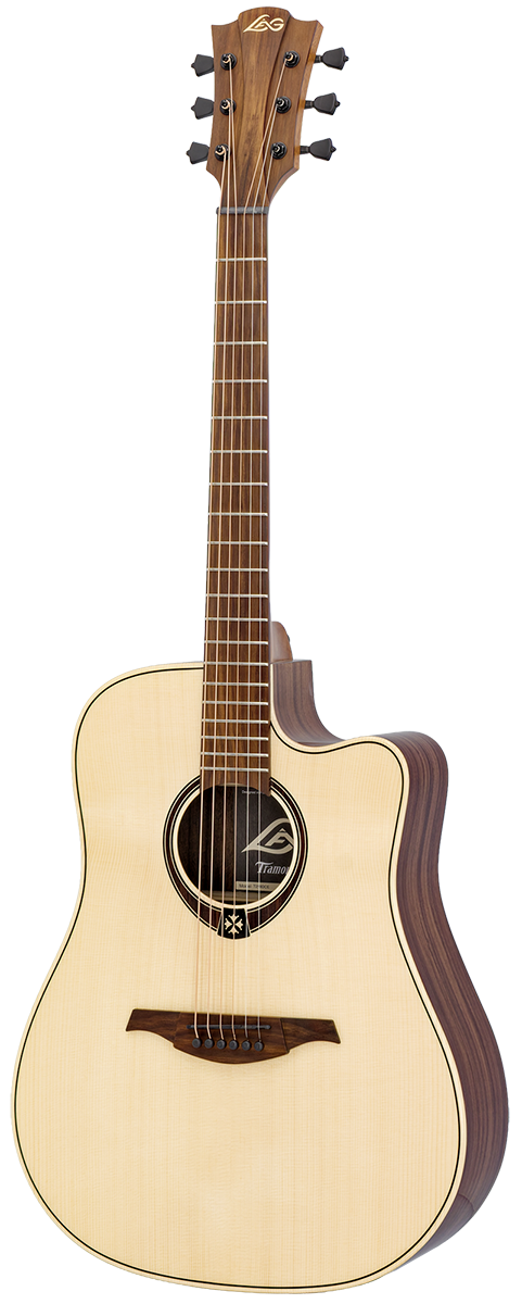 Tramontane 218 Dreadnought Elettro Cutaway