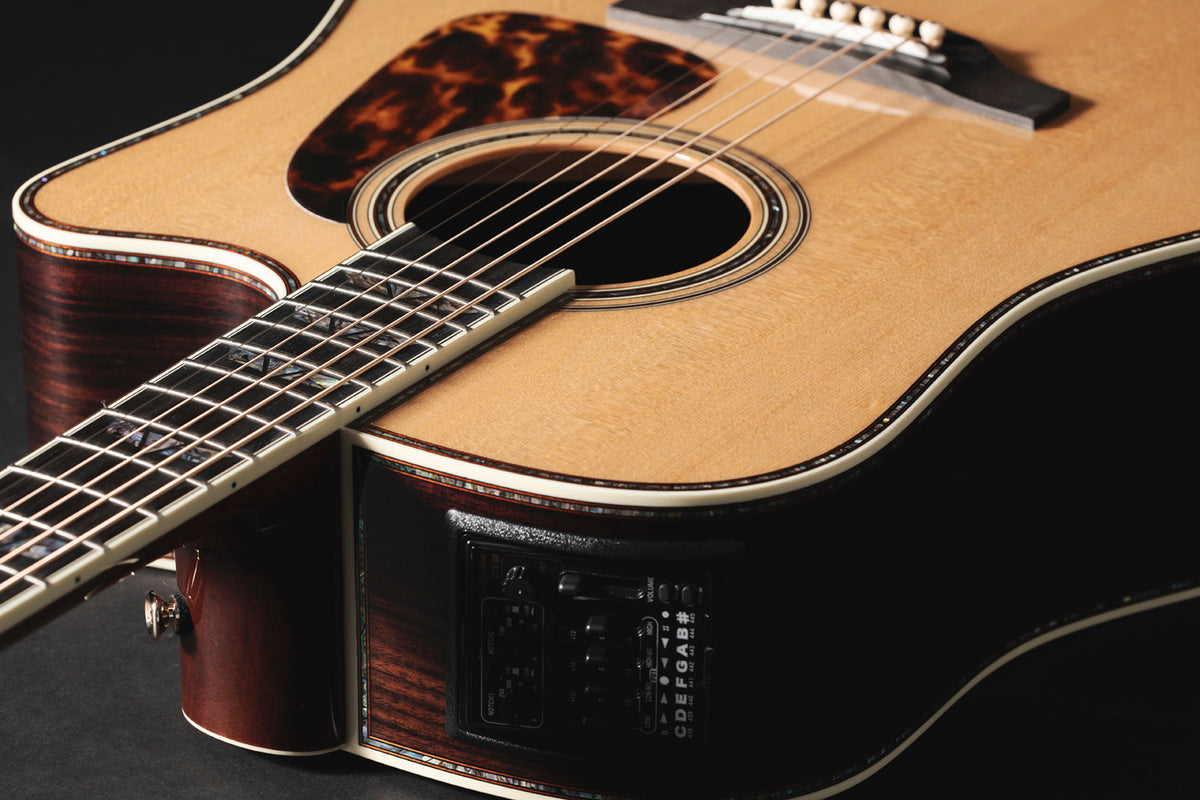 Dreadnought Cutaway Elettro P10DC