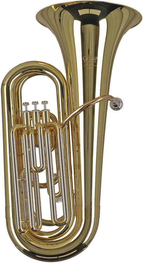 Ambition BB650 Contrabbasso Sib Verniciato