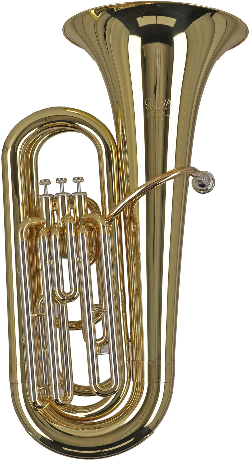 Ambition BB650 Contrabbasso Sib Verniciato