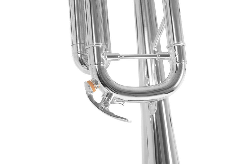TR450S - Sib Argentata