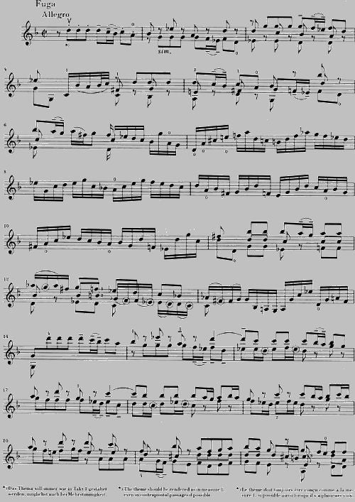 Bach J.S. - Sonate e partite BWV 1001-1006 per violino solo (versione trascritta e annotata)