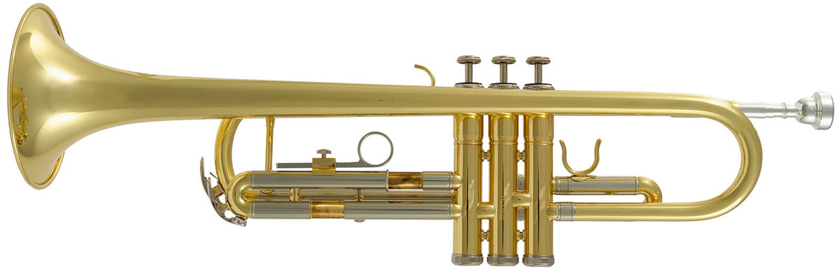 WTP200 - Sib verniciato