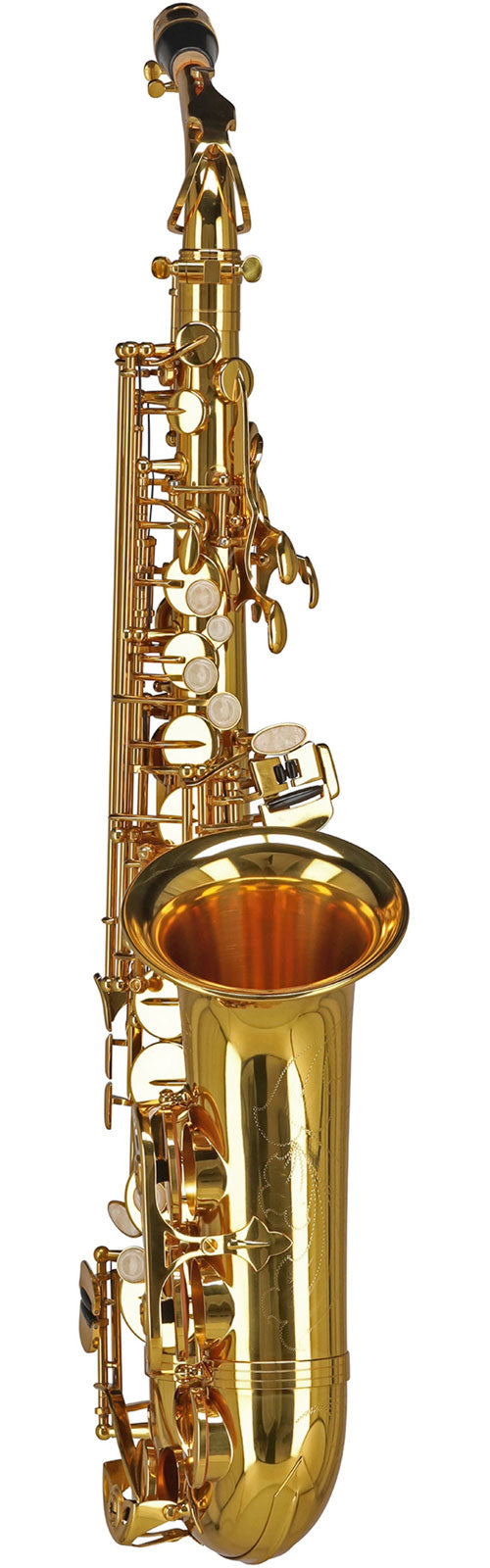 Ambition AS501 Saxhorn alto Mib Laccato