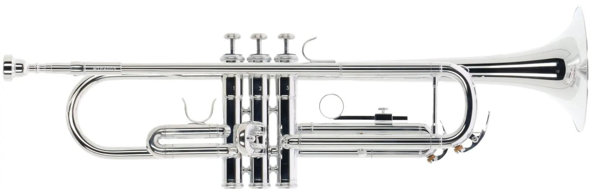 Woodbrass WTP400S - Sib Argentata
