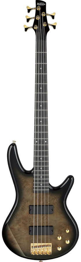 GSR205PCTPB Sfumato nero pallido trasparente