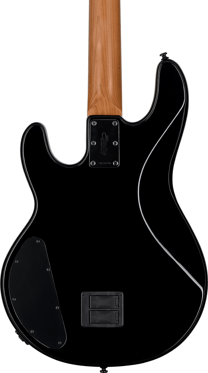 Dark Ray Stingray Con Elettronica Darkglass