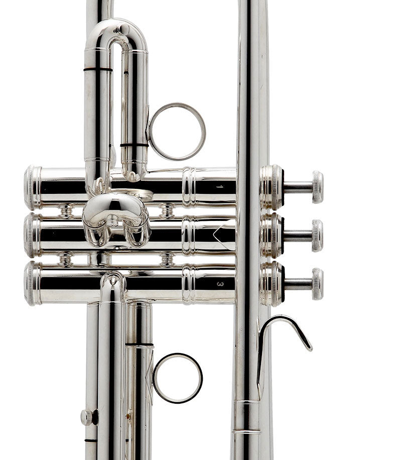 New Standard Sib Argentata - BE111-2-0