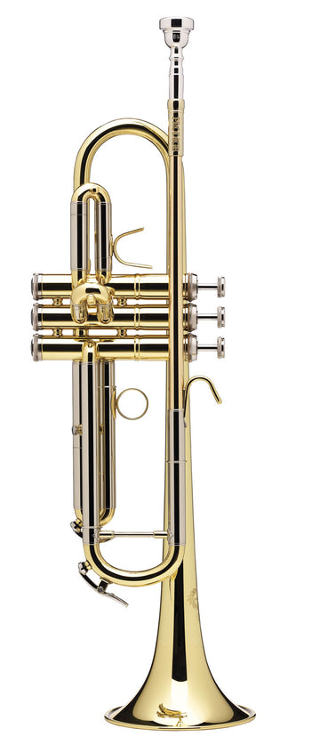 Prodige Sib Verniciata (Canneggio Inverso) - BS210LR-1-0
