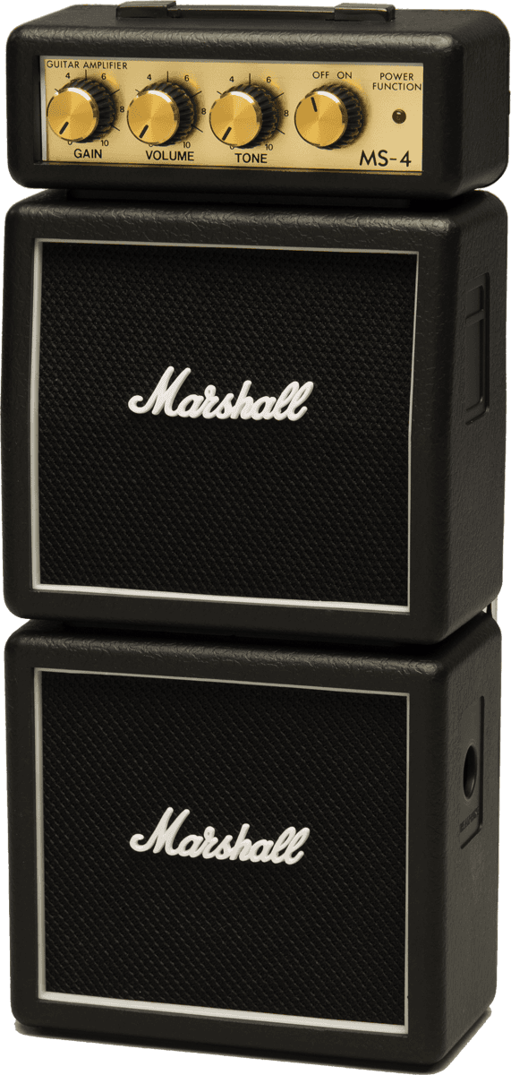 Mini MS4