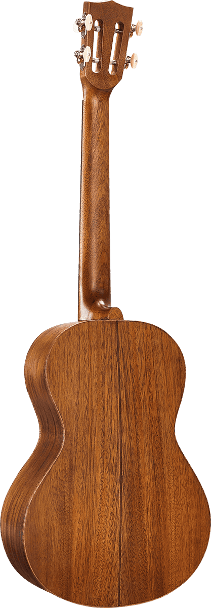 Baritono Naturale Elettrico + Custodia