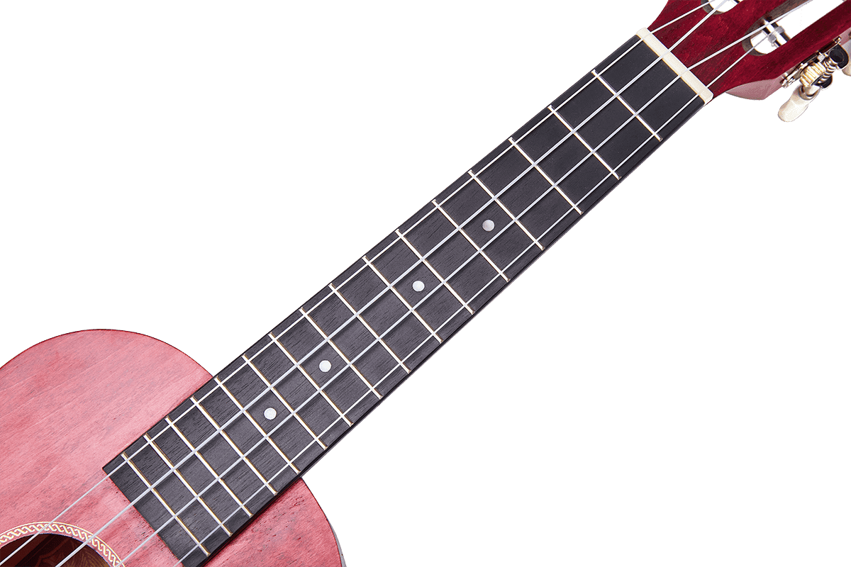 Ukulele Island Concert Berry Crush + Custodia