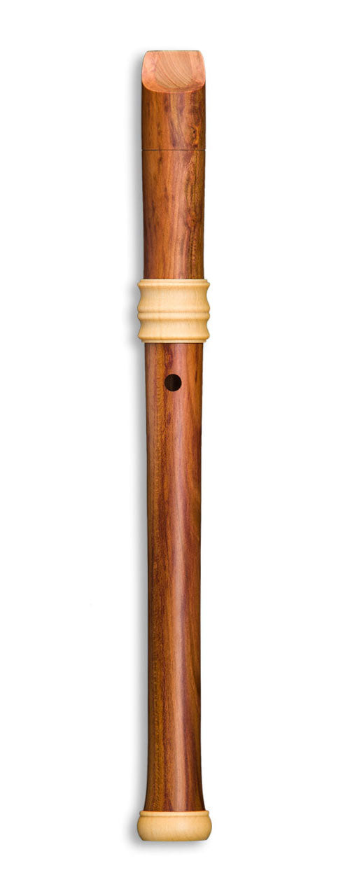 Edition Reve Soprano TE-4118 - Prugno (Diteggiatura Barocca)