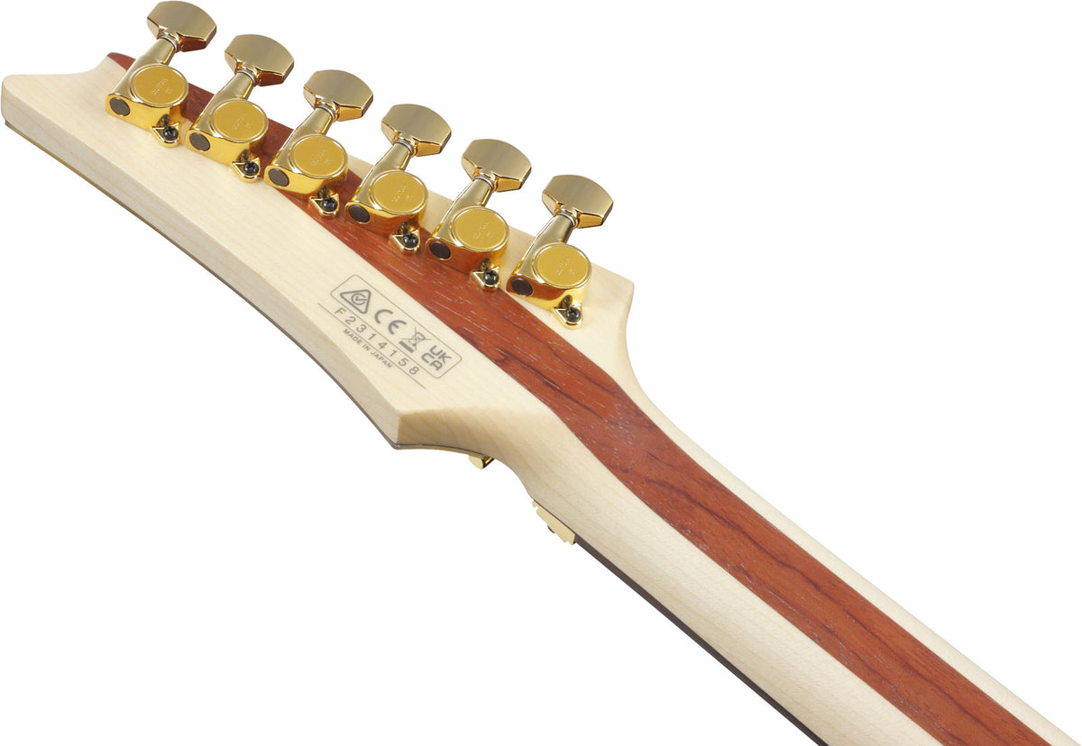 JS1GD Signature Joe Satriani