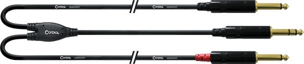 Cavo Audio Jack Stereo - 2 Jack Mono Lunghi 3 M