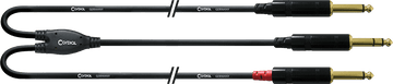 Cavo Audio Jack Stereo - 2 Jack Mono Lunghi 3 M