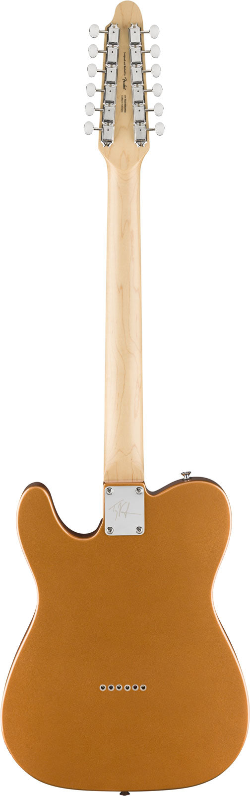 Telecaster Paranormal Troy Van Leeuwen XII, LRL Rame