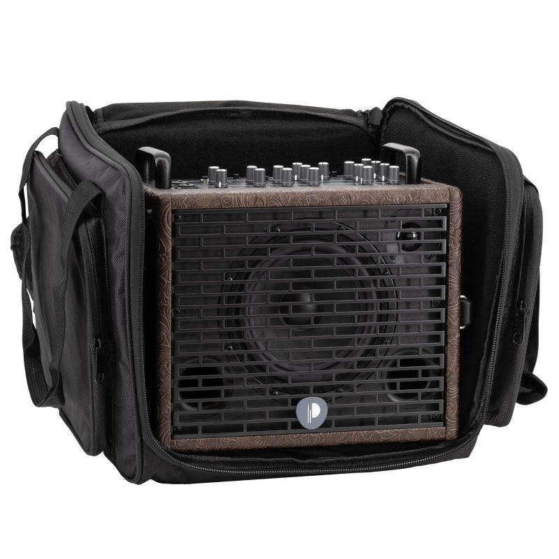 Traveler 6 120W Batteria