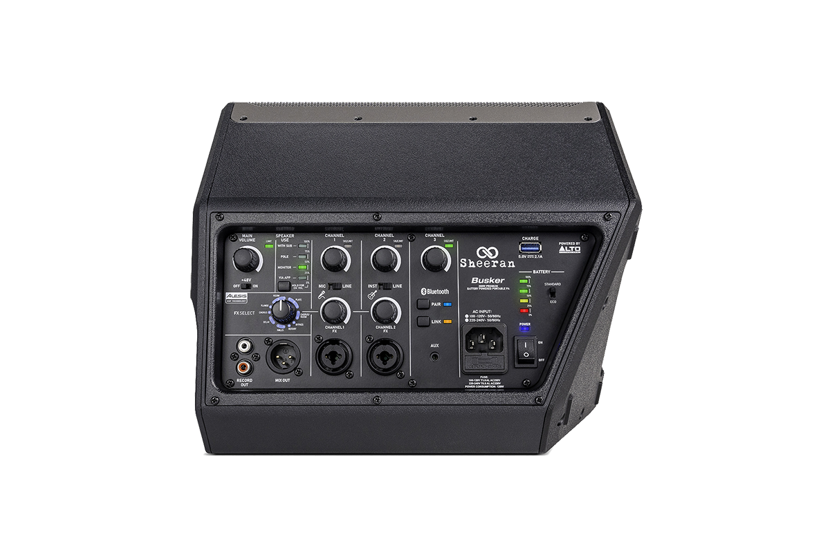 BUSKER SE 200W