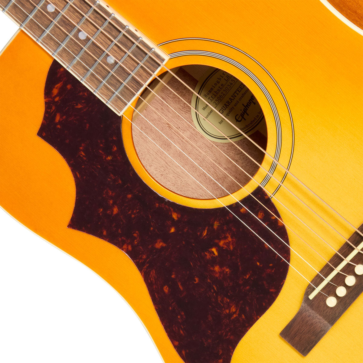 Hummingbird Tribute Sunburst ciliegia Heritage IBGM