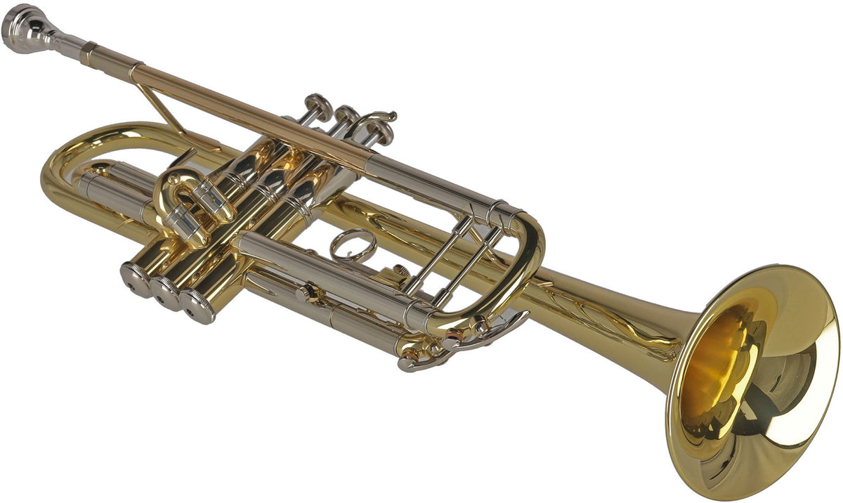 Ambition TR501 Silver Lacquered