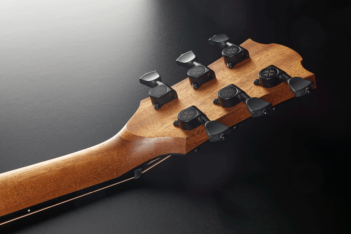 Sauvage Dreadnought Ctw