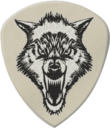 6 x 1,14mm Hetfield's White Fang Scatola