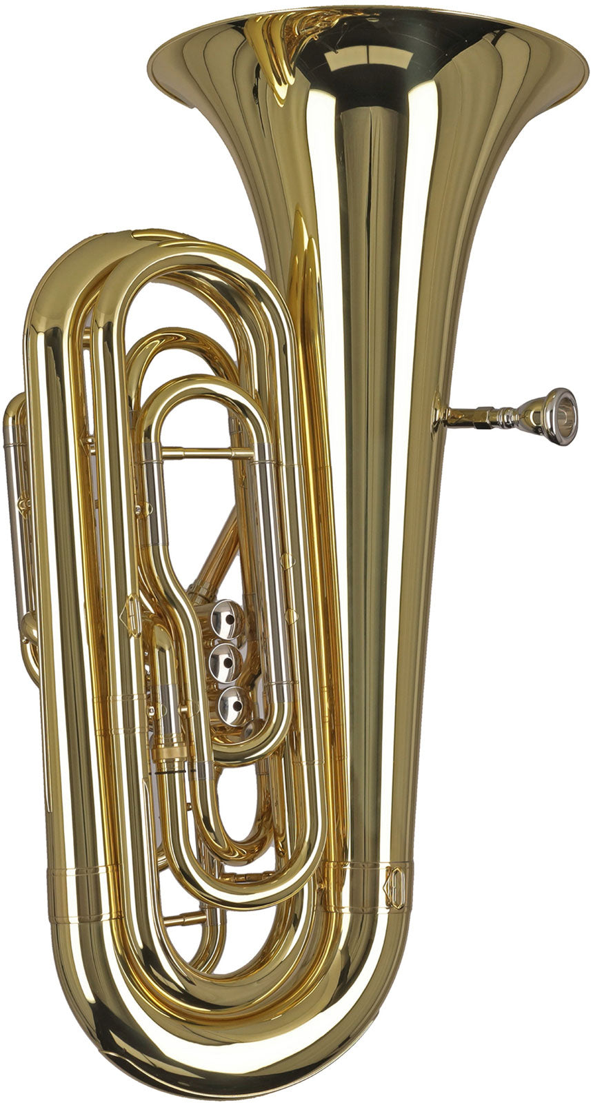 Ambition BB501C Contrabbasso Do Verniciato